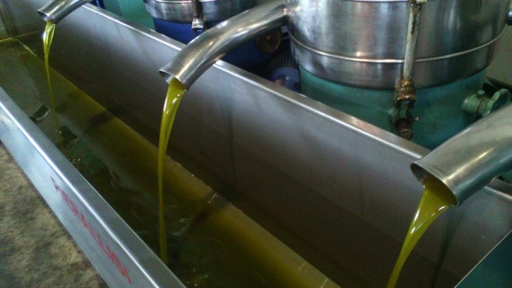 elaiotribeio-747x420-1