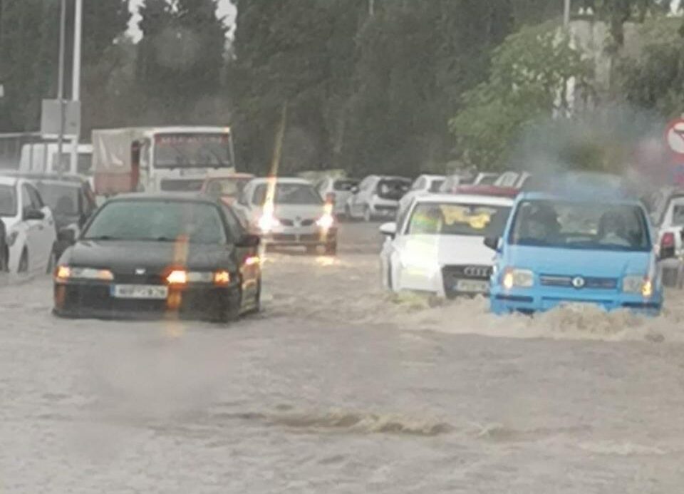 rodos