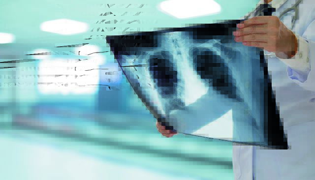 shutterstock2522179275