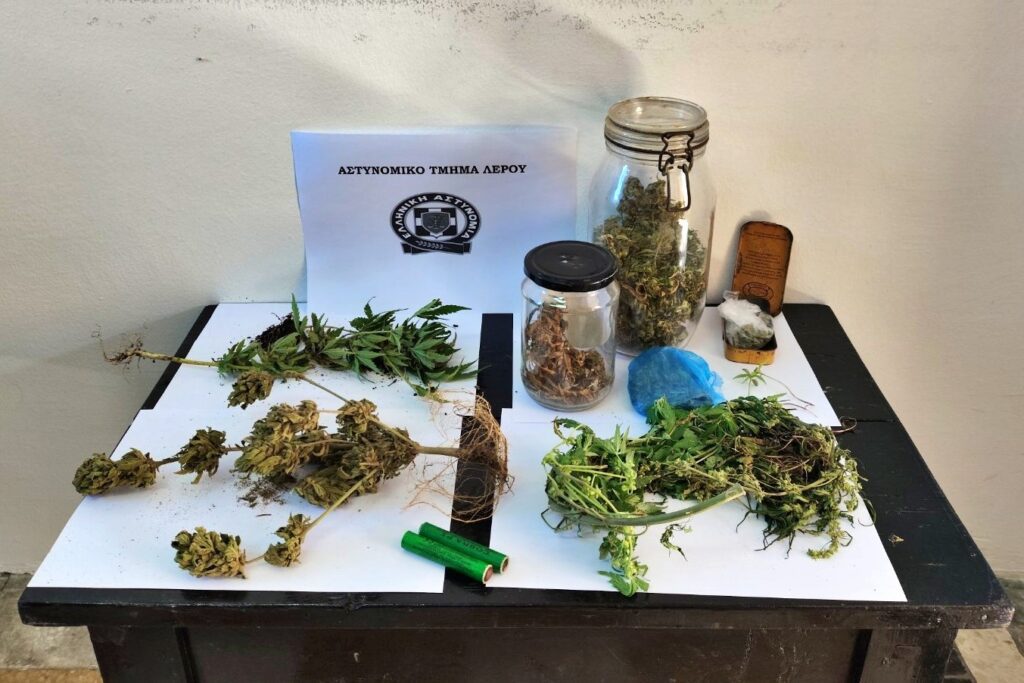 thumbnailSYLLHPSH-GIA-NARKOTIKA-F-1024x683