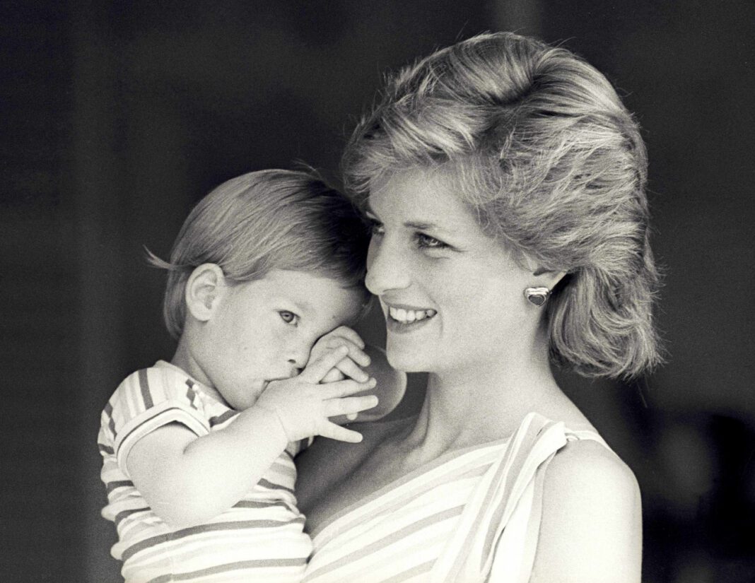2017-01-05T110645Z568306803LR1ED150UUXKCRTRMADP3BRITAIN-ROYALS-DIANA