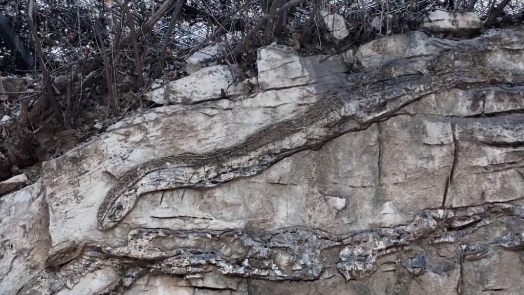 ertnews-rec-sdi20250125115700.00455400.Still014-1024x576