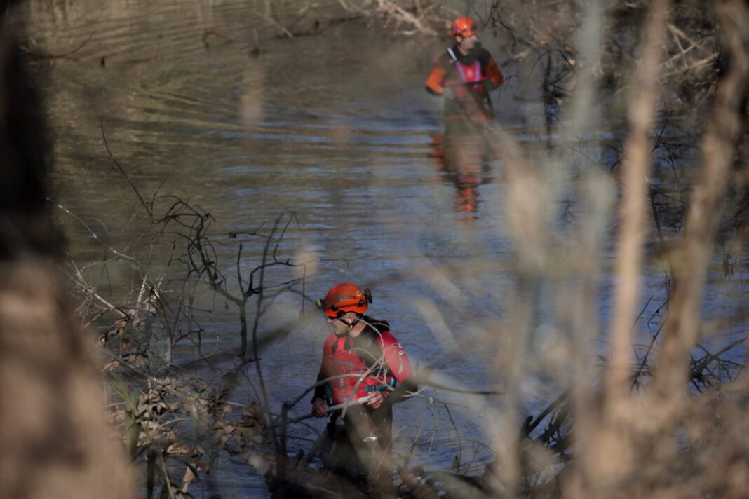 larisa-e1735917472122