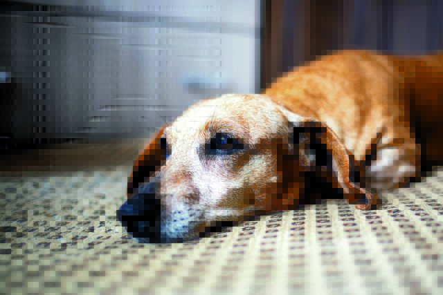 shutterstock2287139409