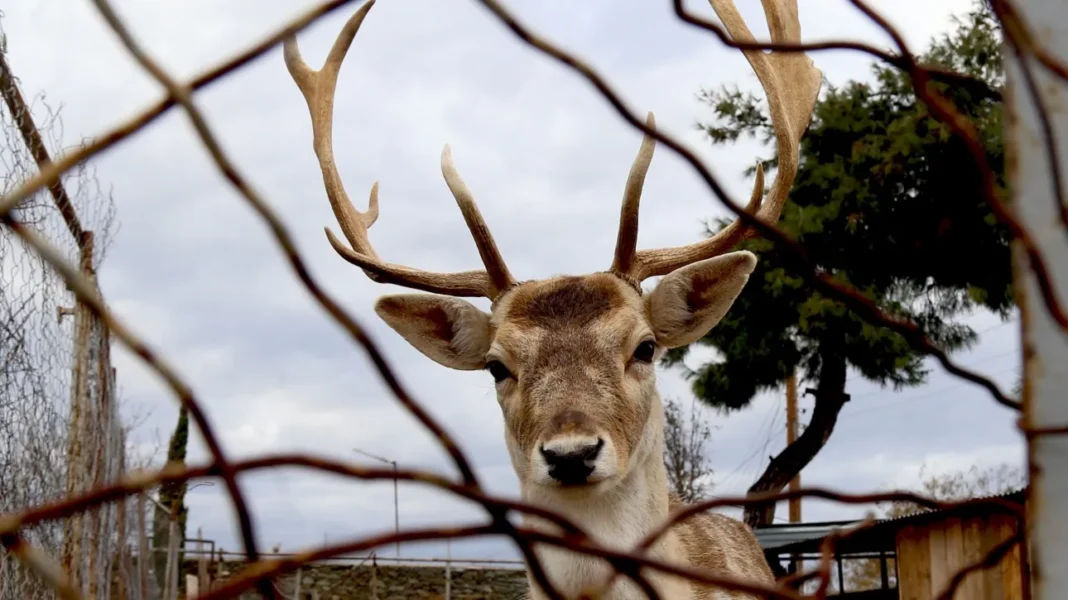 f1ad83ba-3089783-(1)