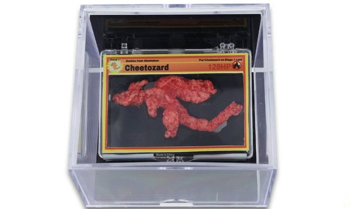 CHETTO (1)
