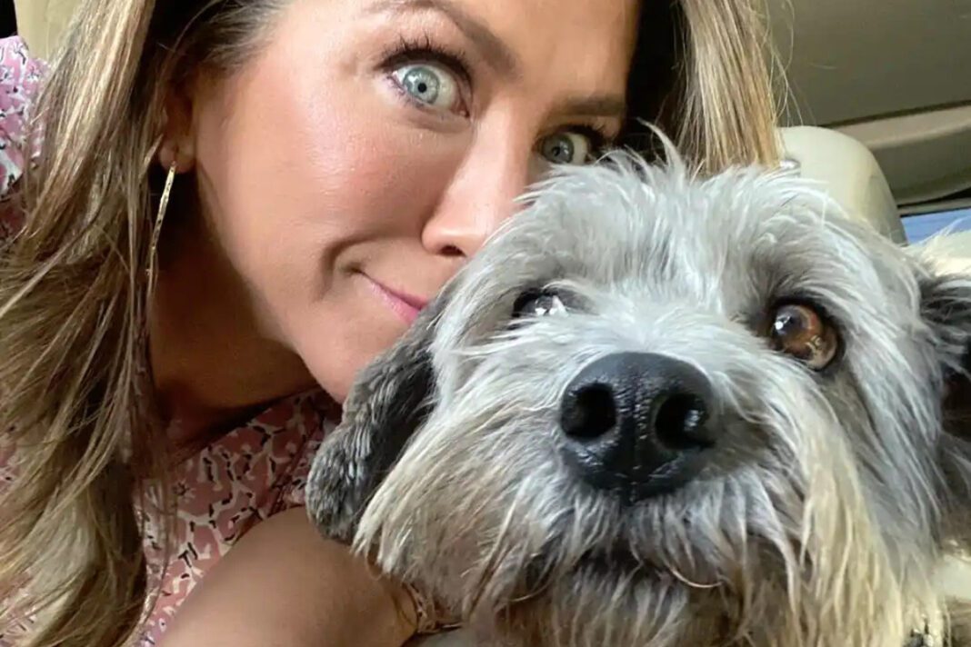 aniston-biblio-mageirikis-paidia-koytabia