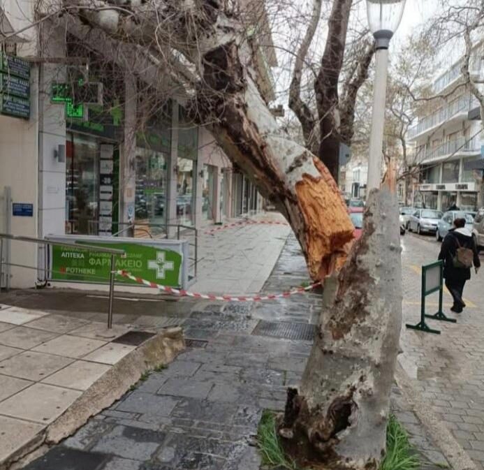 thumbnail-5-e1743683443866 (1)