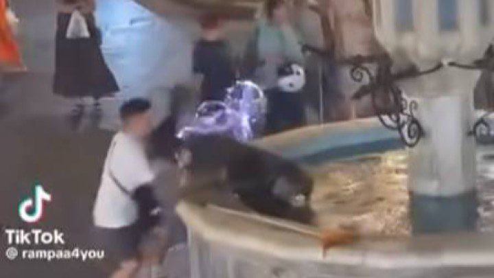 fa463d74077702e90720156d25be964d-b