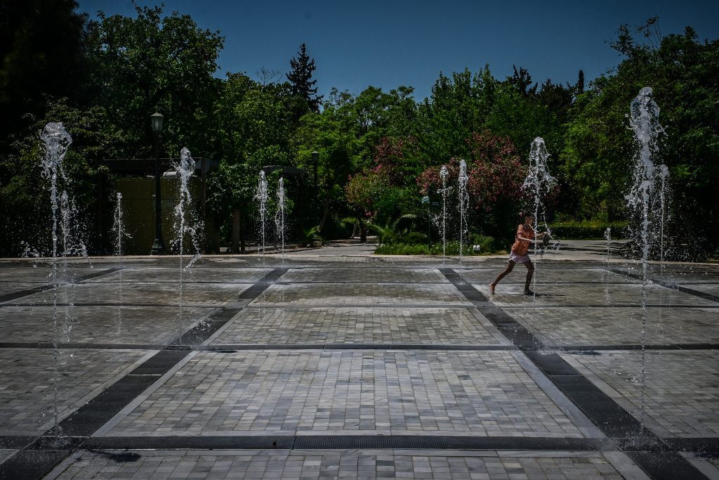 kafswnas-1024x683 (1)