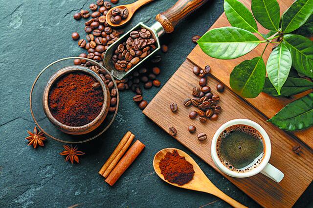 shutterstock_2613409011