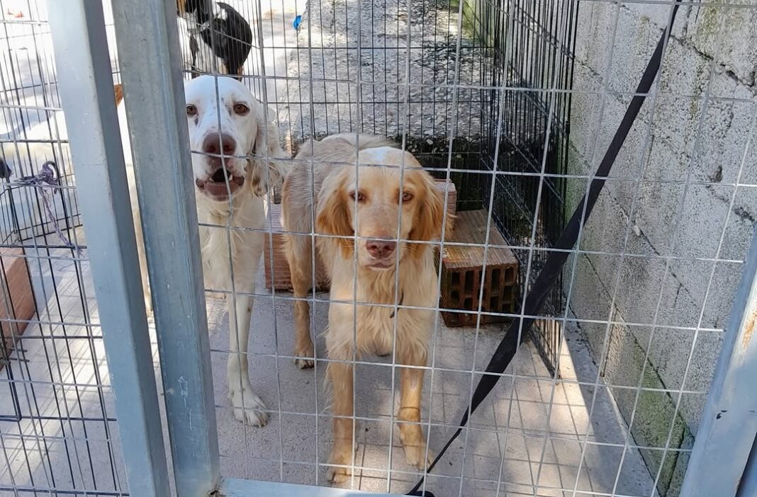 528882755-3986773611653168-5693001639841766459-n