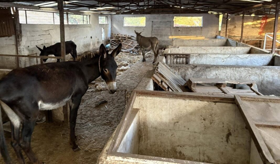 532234377-3997137823950080-7398166028910531791-n