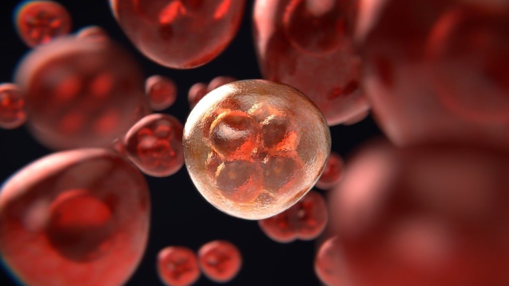 stem-sells-egefaliko-1024x576